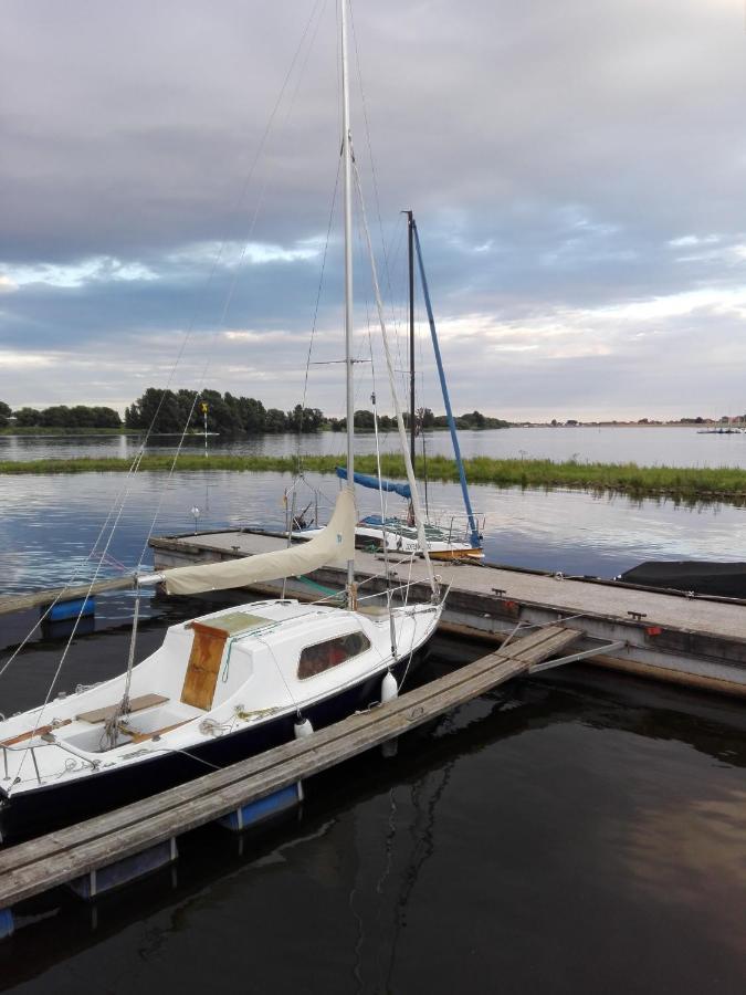 Ferienwohnung Elbe Diek Stelle Exterior foto