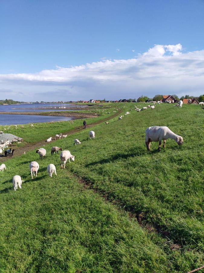 Ferienwohnung Elbe Diek Stelle Exterior foto